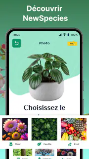 Plantes Reconnaissance App screenshot 3