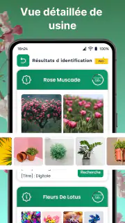 Plantes Reconnaissance App screenshot 4