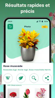 Plantes Reconnaissance App screenshot 5