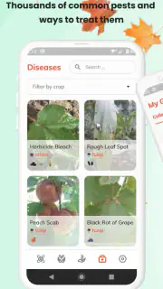 PlantID - Identifier plantes screenshot 3