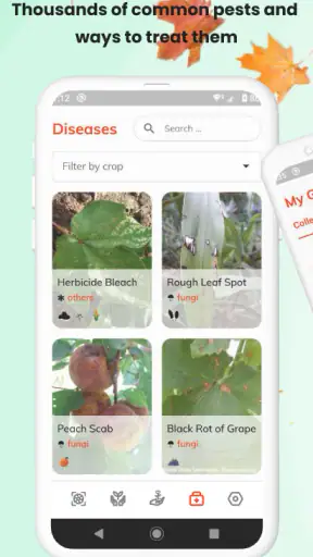 PlantID - Identifier plantes screenshot