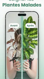 Plantify: Plante Identifiant screenshot 5
