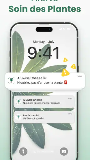 Plantify: Plante Identifiant screenshot