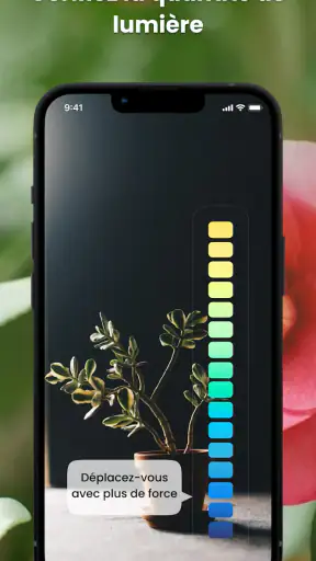 PlantIn plantes reconnaissance screenshot