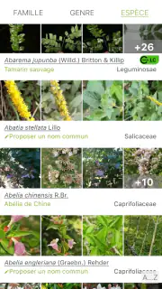 PlantNet Identification Plante screenshot 3