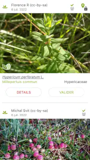 PlantNet Identification Plante screenshot 4