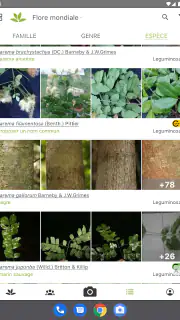 PlantNet Identification Plante screenshot 7