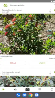 PlantNet Identification Plante screenshot 8