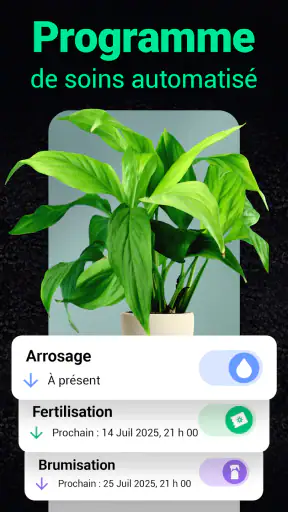 Plantum:reconnaissance plante screenshot