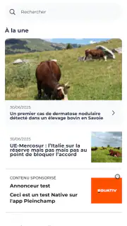 Pleinchamp screenshot 2