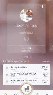 Pocket Bank screenshot 2