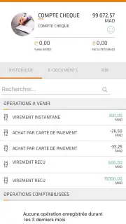 Pocket Bank screenshot 3