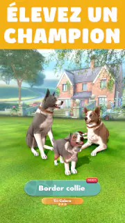 Pocket Paws: mes petits chiens screenshot 2