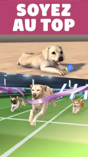 Pocket Paws: mes petits chiens screenshot 3