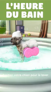 Pocket Paws: mes petits chiens screenshot 5