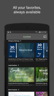 Qigong for Vitality screenshot 3