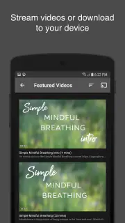 Qigong for Vitality screenshot 4