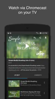 Qigong for Vitality screenshot 5