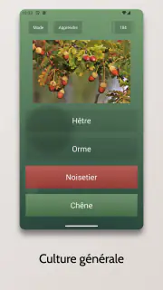 Quiz sans fin screenshot 2