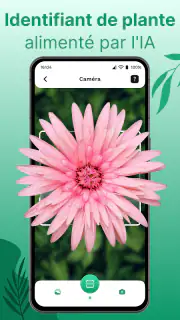 Reconnaitre Fleurs et Plantes screenshot 2