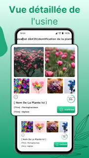 Reconnaitre Fleurs et Plantes screenshot 4