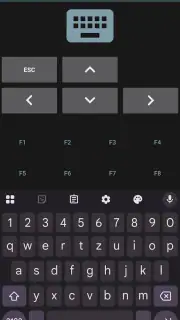 RemotePointer screenshot 2