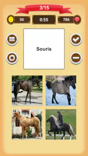 Robe Du Cheval - Quiz screenshot 4