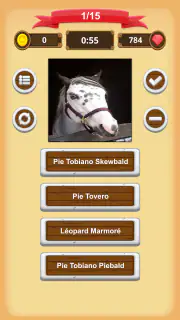 Robe Du Cheval - Quiz screenshot 7