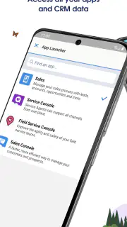 Salesforce screenshot 4