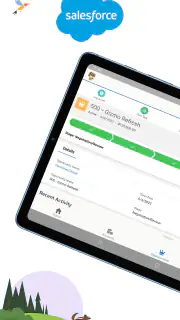 Salesforce screenshot 6