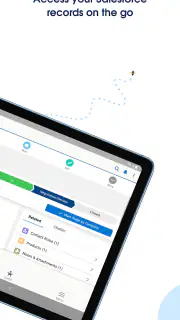 Salesforce screenshot 7