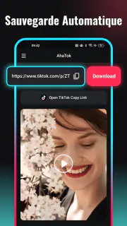 Snaptik - Telecharger Video TT screenshot 4