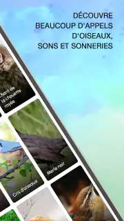 Sonneries Chants D'oiseaux screenshot 2