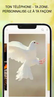Sonneries Chants D'oiseaux screenshot 6