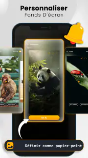 Sons et Sonneries D'animaux screenshot 7