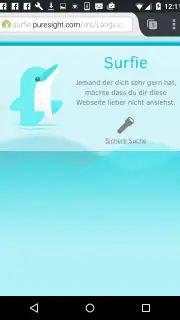Surfie-Guard screenshot 5
