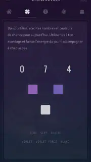 Ta Numérologie Quotidienne screenshot 4