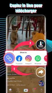 Télécharger vidéo TT no logo screenshot 3