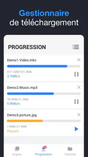Téléchargeur de Vidéo screenshot 6