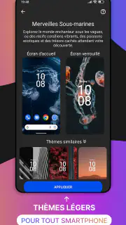 Thèmes screenshot 6
