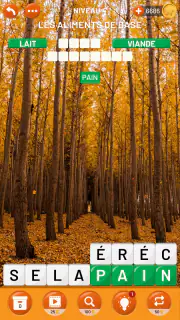 Tour des Mots: Mots Mêlés screenshot 3