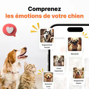 Traducteur De Langue Humain screenshot 3