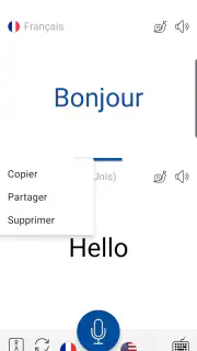Traduction Vocale Instant screenshot 5