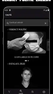 Verdict Dana Budeanu screenshot 3