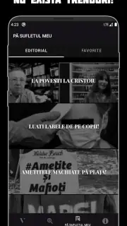 Verdict Dana Budeanu screenshot 4