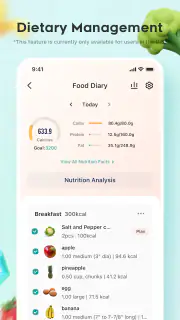 VeSync screenshot 2