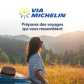 ViaMichelin gps, carte, trafic screenshot 8