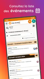 vide-greniers.org screenshot 2