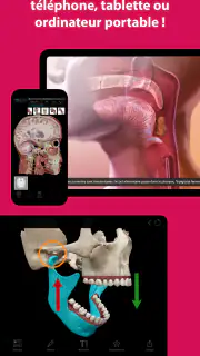 Visible Body Suite screenshot 4