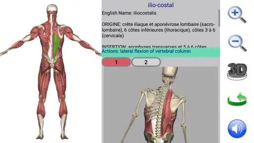 Visual Anatomy 2 screenshot 2